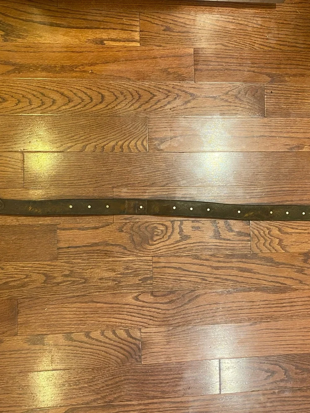 Vintage Western Cowboy Belt Brown Leather w/Floral Gold & Silver Accents Worn